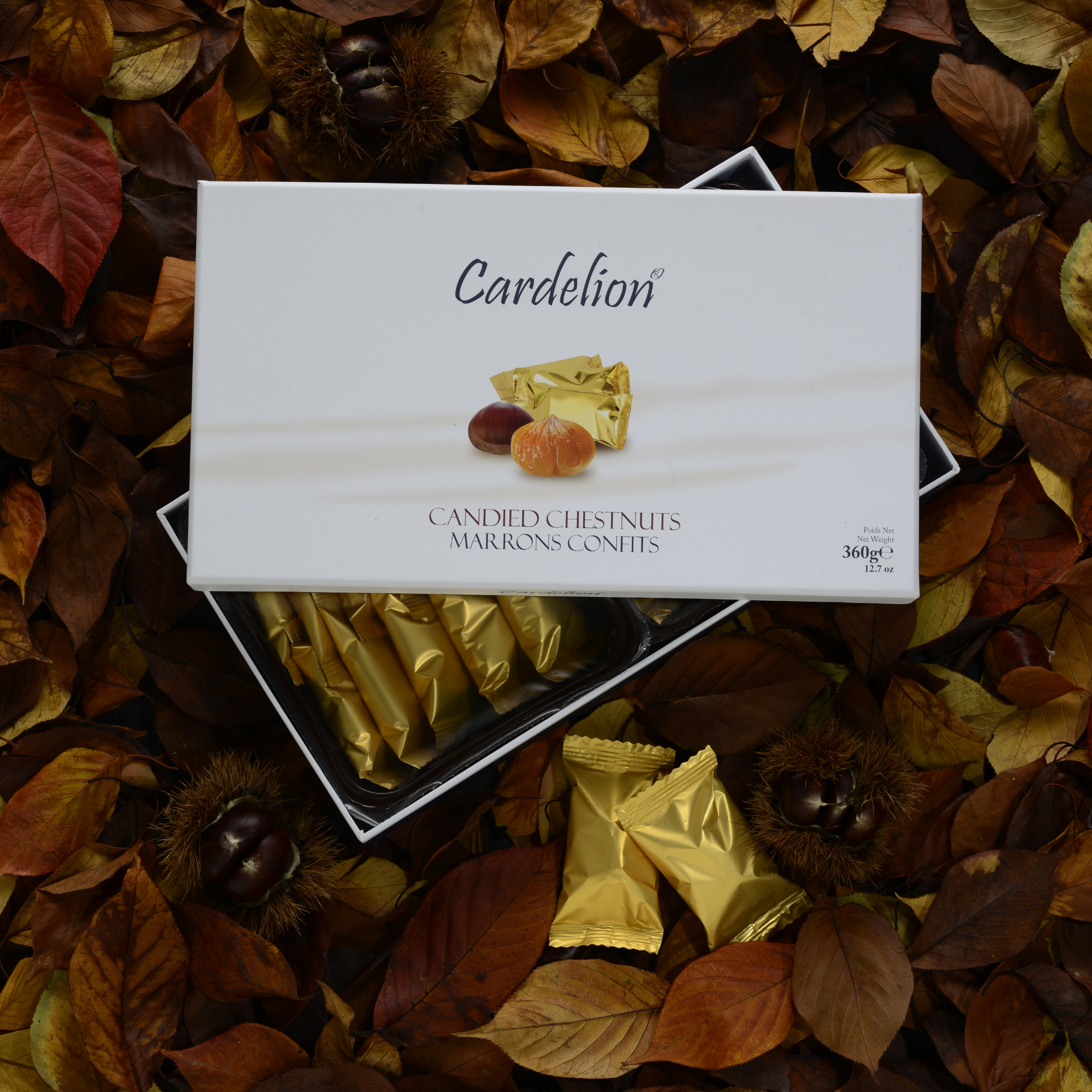 Cardelion Candied Chestnuts