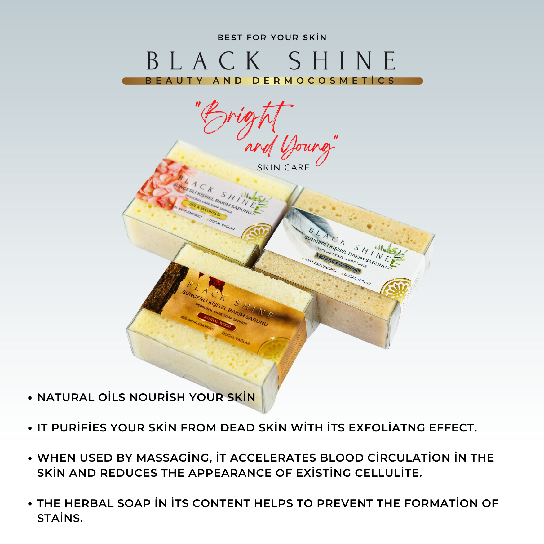 Black Shine Organic Sponge Personal Care Soap, Handmade - Family Set Rose - Goat Milk - Sandal